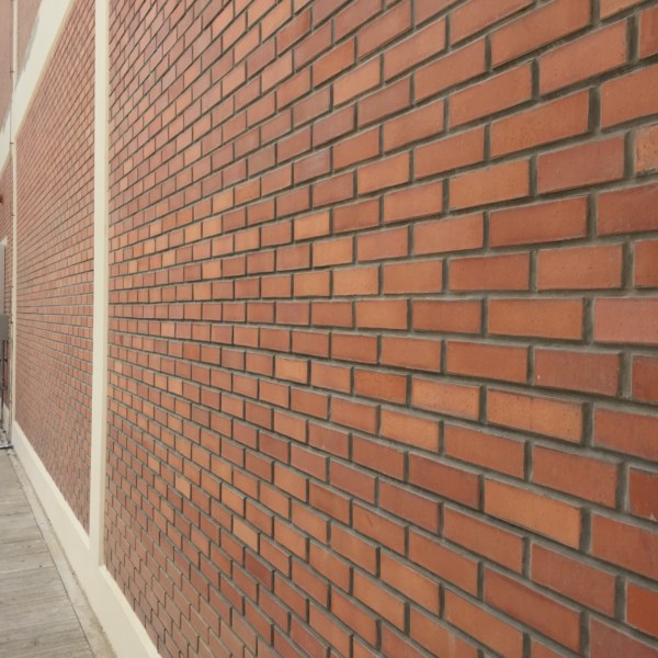 Red Brick Project - F1N