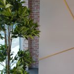 Cupital Cafe - White Wash Brick