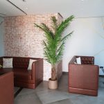 Cupital Cafe - White Wash Brick