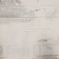 Whitewash/Cement Rendering